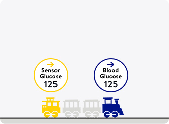 Train video showing stable glucose levels